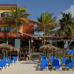 fusion-beach-hotel.allrivieramayahotels.com/