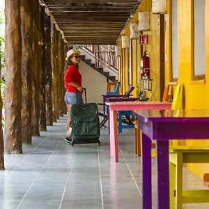 koox-city-garden-hotel.allrivieramayahotels.com/