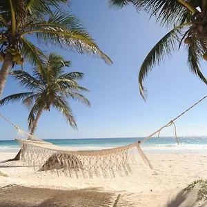 las-ranitas-eco-boutique-hotel.allrivieramayahotels.com/